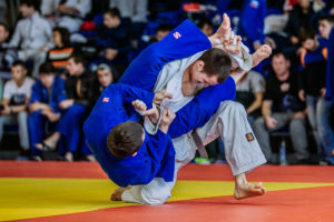 Rick_E_Norris_An_Accountancy_Corporation_Judo_101_How_A_Small_Business_Can_Fight_500_Pound_Gorilla