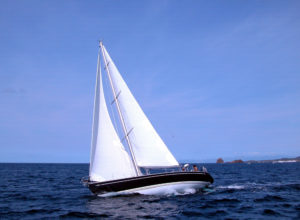 Rick_E_Norris_An_Accountancy_Corporation_Sailing_Strategic_In_Order_to_Avoid_Mutiny_Or_Running_Into_The_Rocks