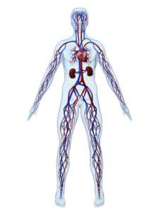 Rick_E_Norris_An_Accountancy_Corporation_The Circulatory_System_Of_Business_Processes_And_How_To_Cut_Down_On_Filing